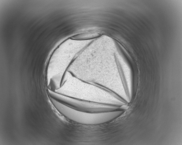 X0000059240816200511111613