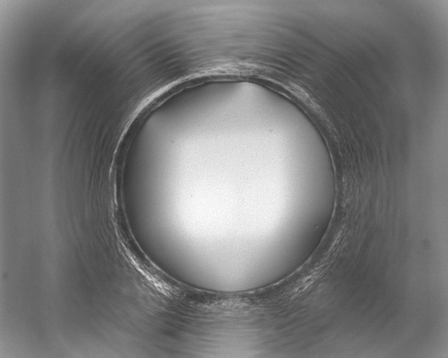 X0000059240838200511111613