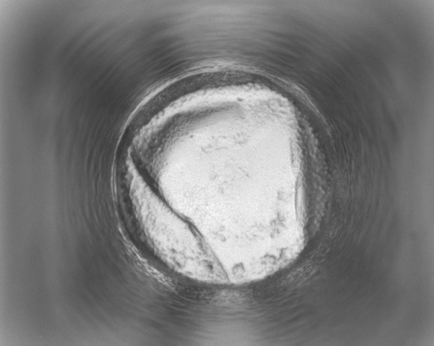 X0000059240839200511111613