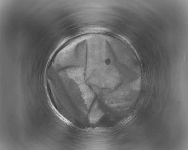 X0000059240851200511111613