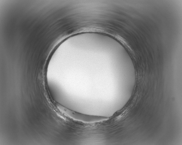 X0000059240854200511111613