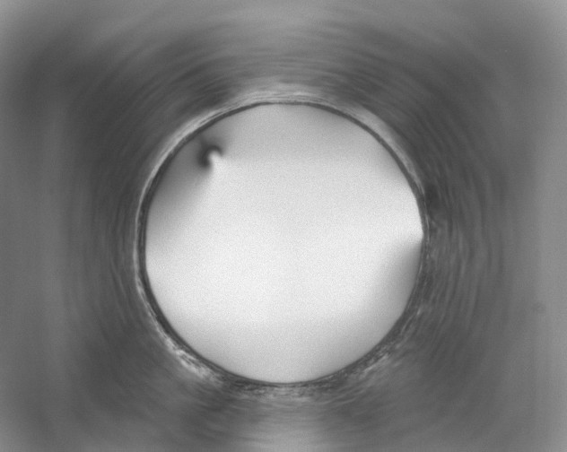 X0000059240861200511111613