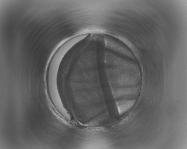 X0000059240864200511111613