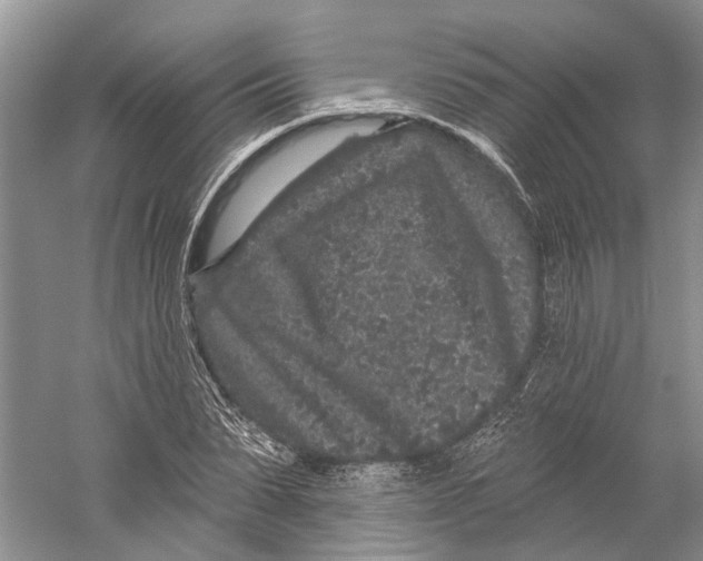 X0000059240879200511111612