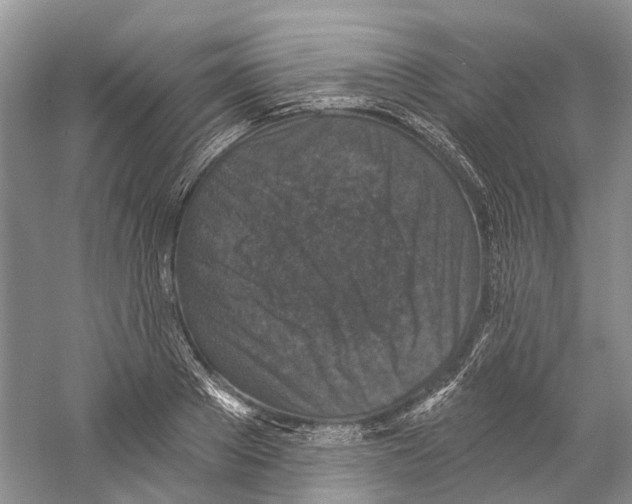 X0000059240889200511111612