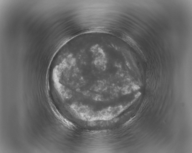 X0000059240892200511111612