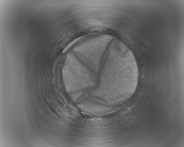 X0000059240916200511111611