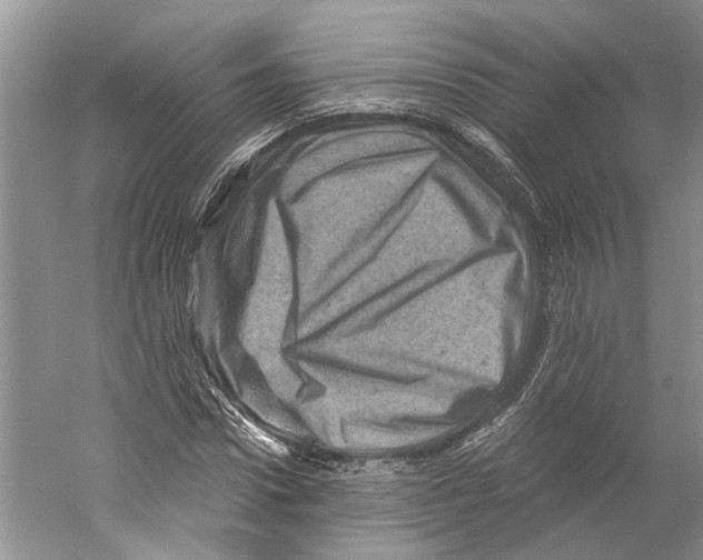 X0000059240922200511111611