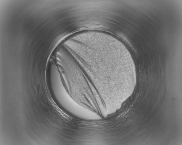 X0000059240932200511111611