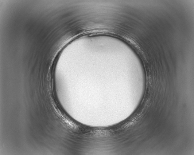 X0000059240933200511111611