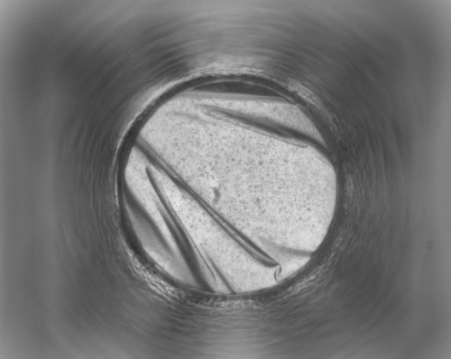 X0000059240934200511111611