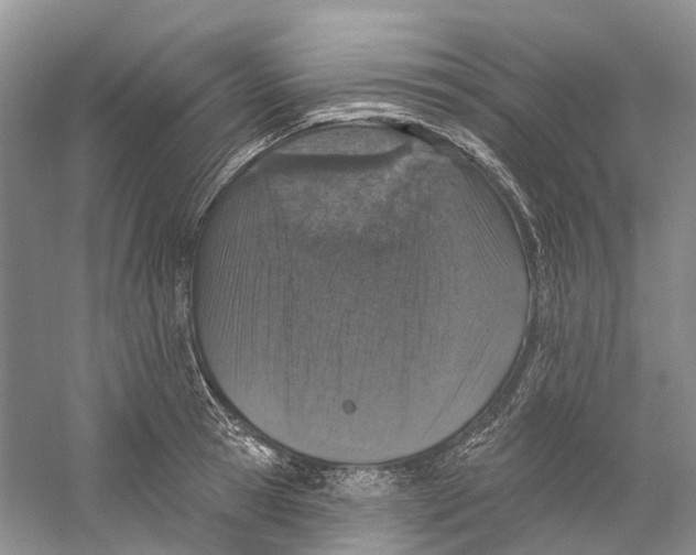 X0000059240945200511111611