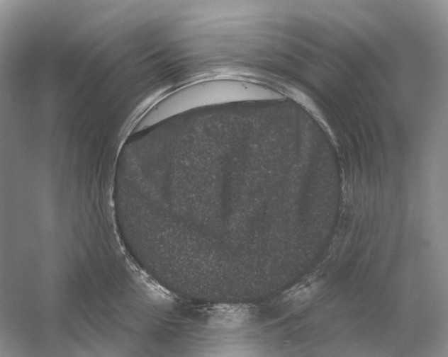X0000059240954200511111611
