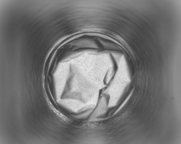 X0000059240955200511111611