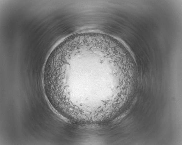 X0000059240957200511111611