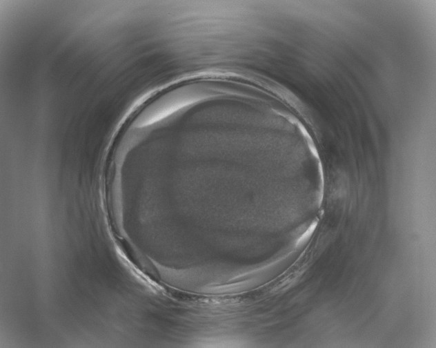 X0000059240958200511111611