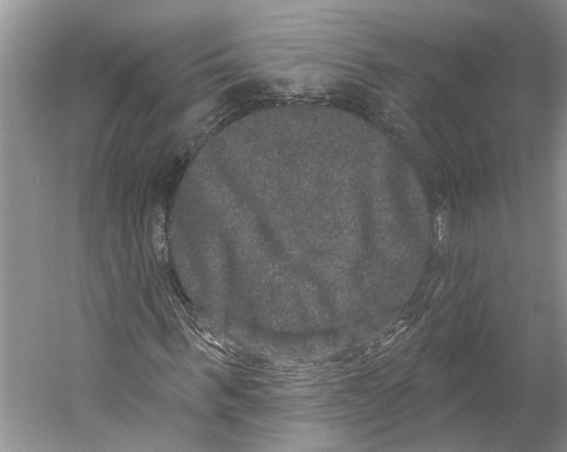 X0000059240963200511111611