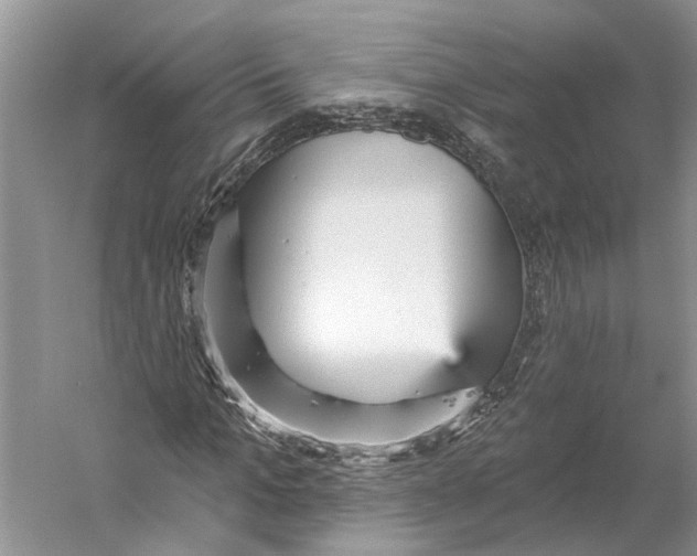 X0000059240965200511111611