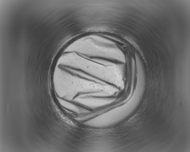 X0000059240984200511111610