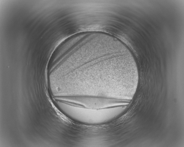 X0000059240988200511111610