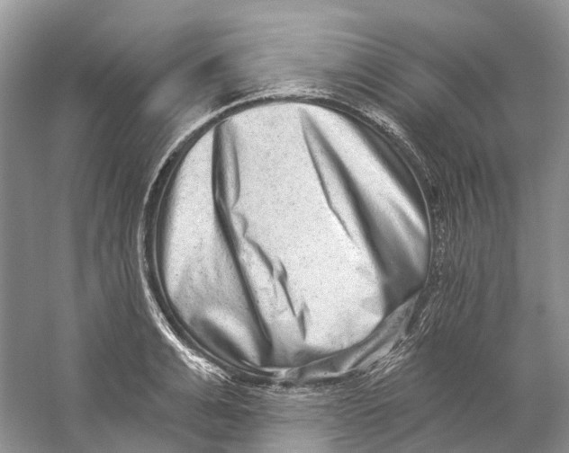 X0000059240991200511111610