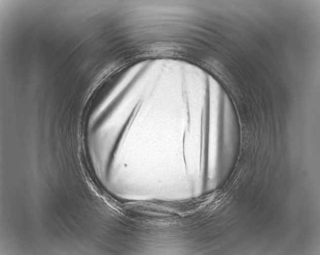 X0000059240994200511111610