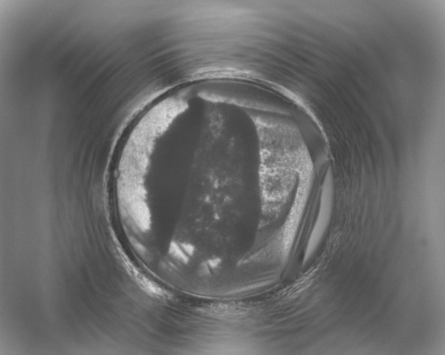 X0000059240995200511111610