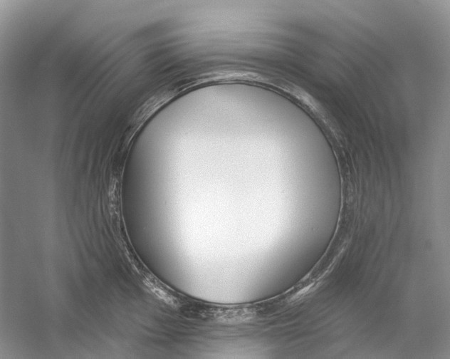 X0000059241001200511111610