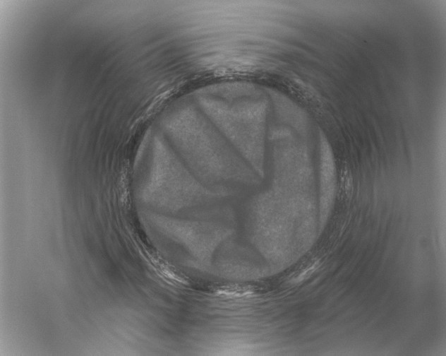 X0000059241012200511111609