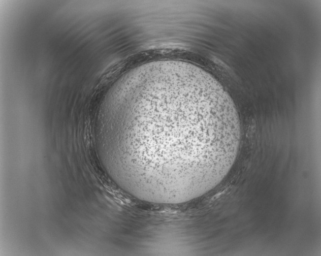 X0000059241014200511111609
