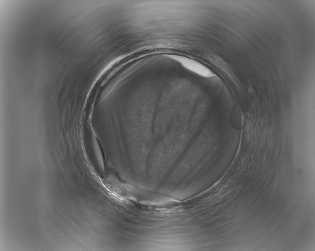 X0000059241024200511111609
