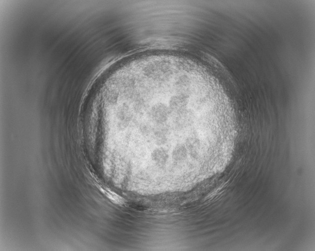 X0000059241027200511111609