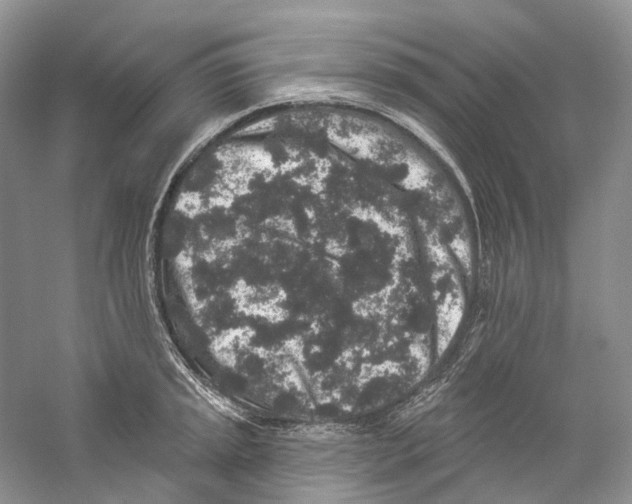 X0000059241045200511111610