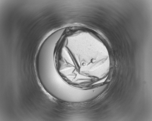 X0000059241054200511111610