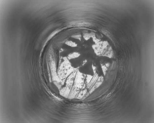 X0000059241071200511111609