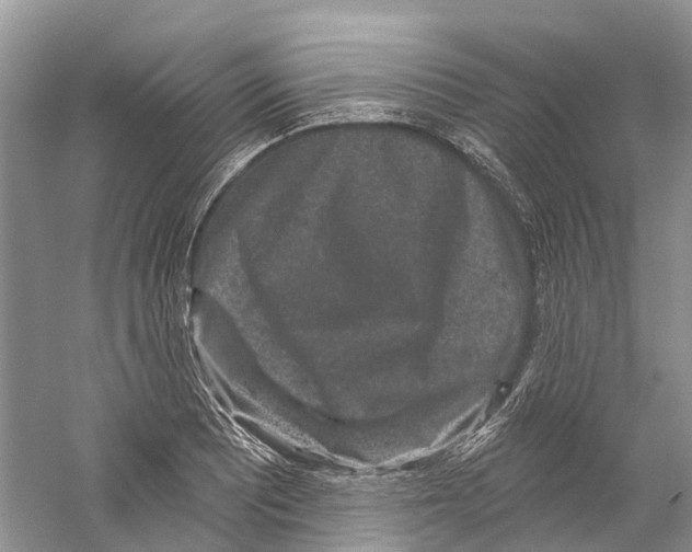 X0000059241081200511111609