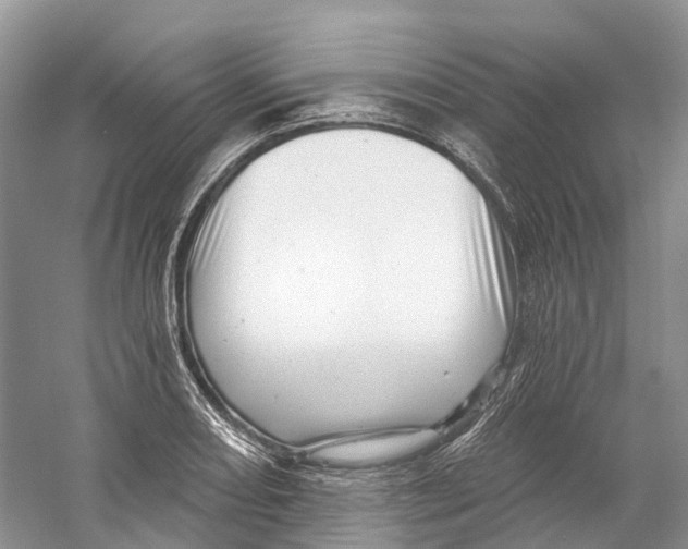 X0000059241082200511111609