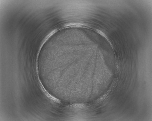 X0000059241090200511111608