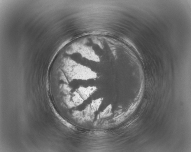 X0000059241095200511111608