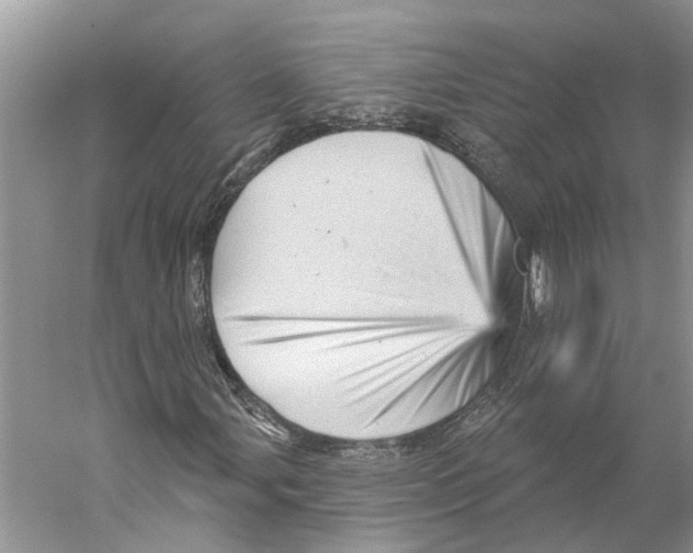 X0000059241107200511111607