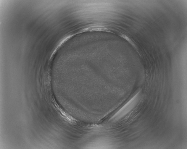X0000059241115200511111607