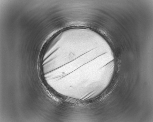 X0000059241125200511111608
