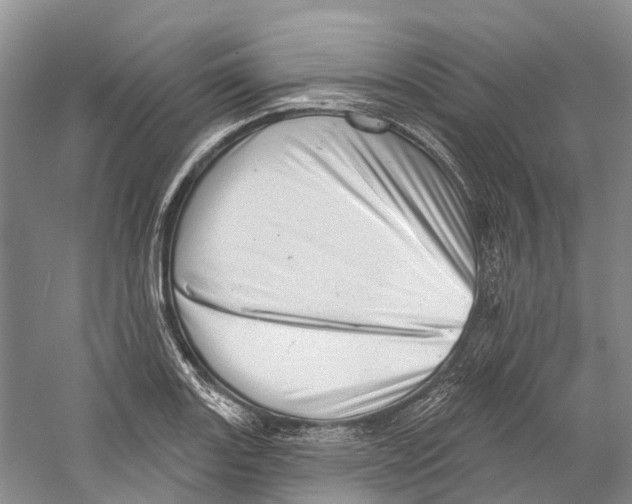 X0000059241131200511111608