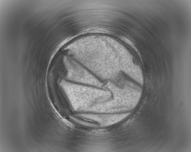 X0000059241133200511111608