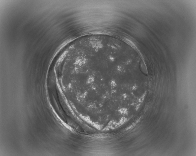 X0000059241141200511111608