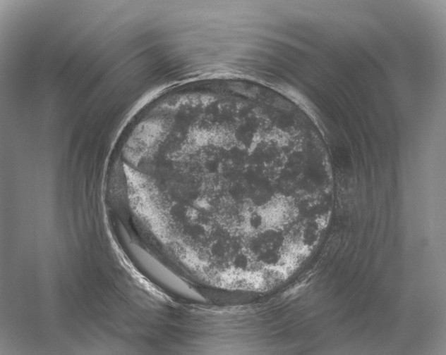 X0000059241142200511111608