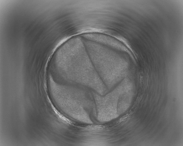 X0000059241143200511111608
