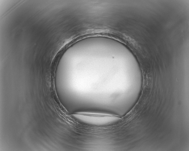X0000059241165200511111607