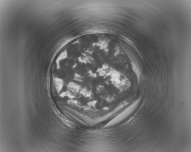 X0000059241179200511111607