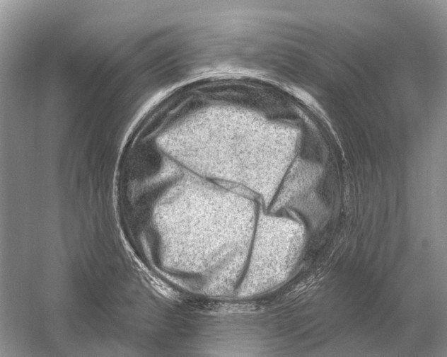 X0000059241183200511111607